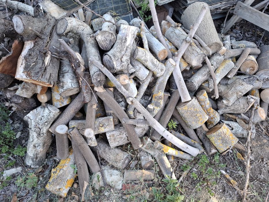 Сухи Дърва за огрев