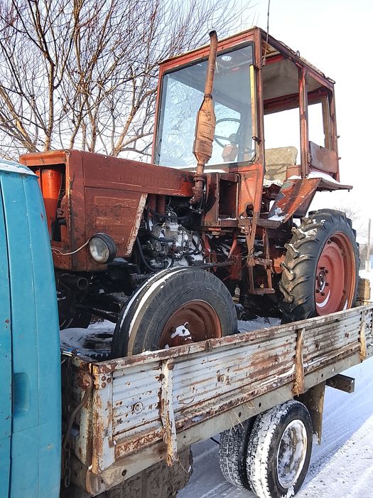 Трактор т 25 живой