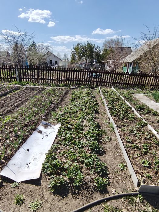 Продам дачу с/о Черёмушки, район Миновного