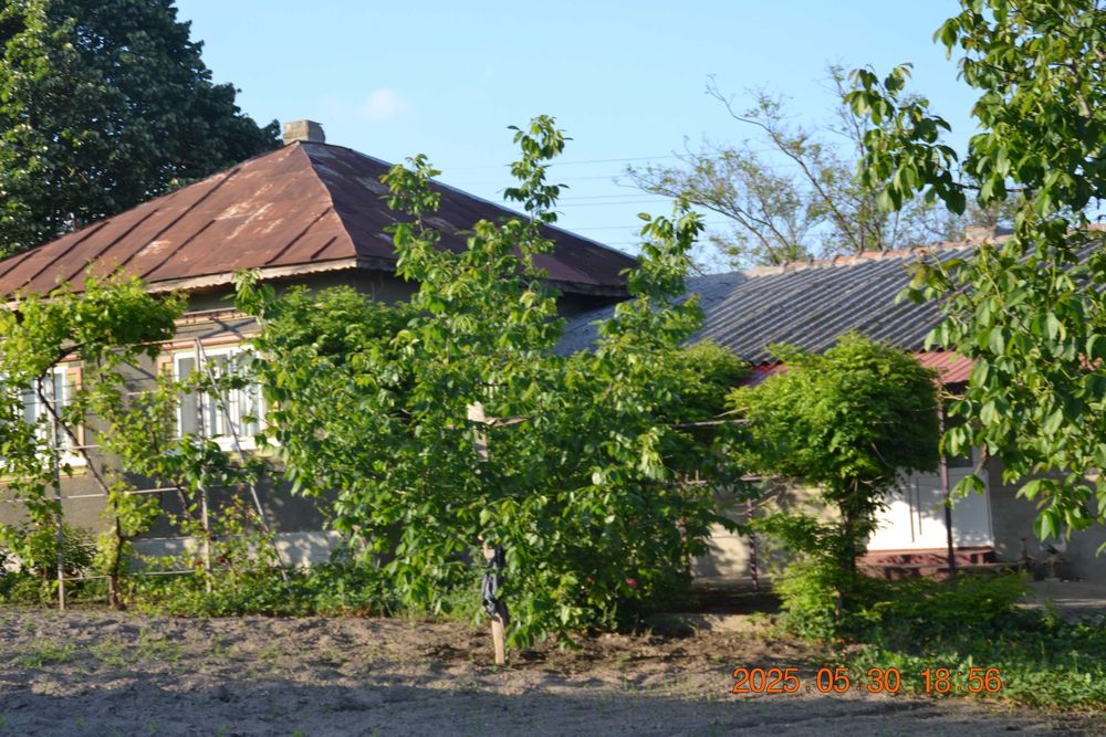Casa spatioasa, 6 camere, 2 bucatarii + Anexe, Teren 1971mp