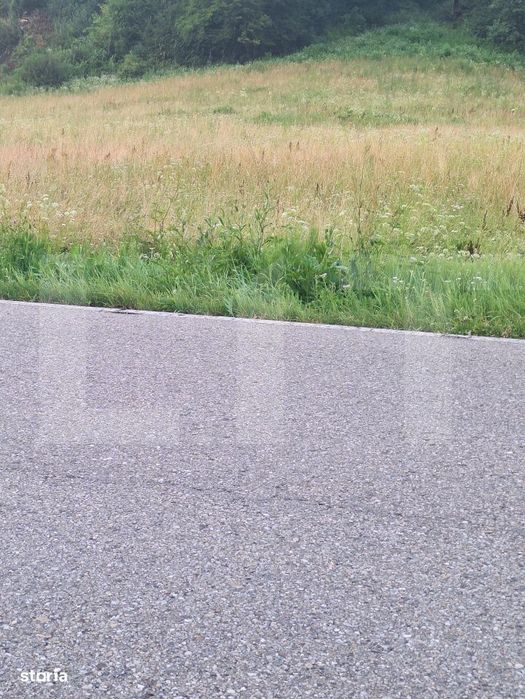Teren de vanzare, 5800 mp, zona Jena