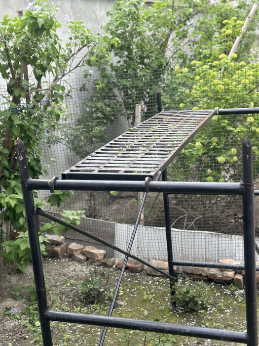 Raboci lisa bor 20ta