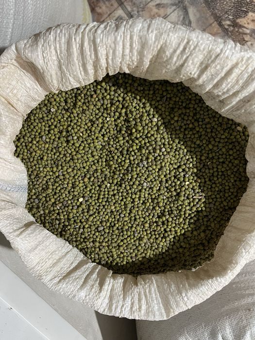 Маш  бар 300кг+-