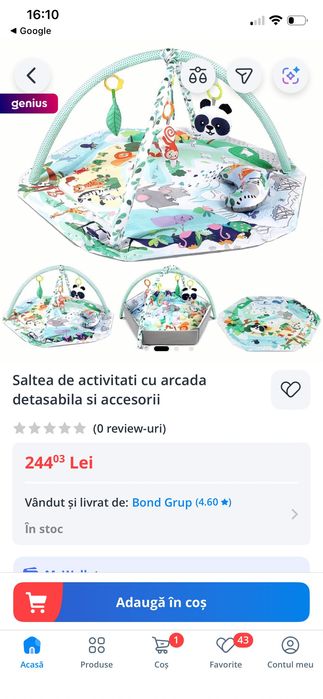 Saltea activități noua