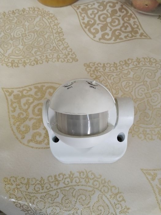 Директор движения е 009