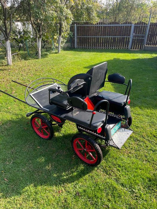 Caleașcă / trăsură pentru ponei