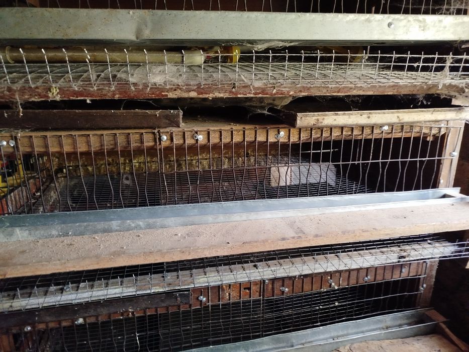 Клетка для перепелок