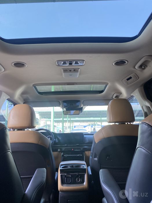 Kia Carnival 2023, kraska toza