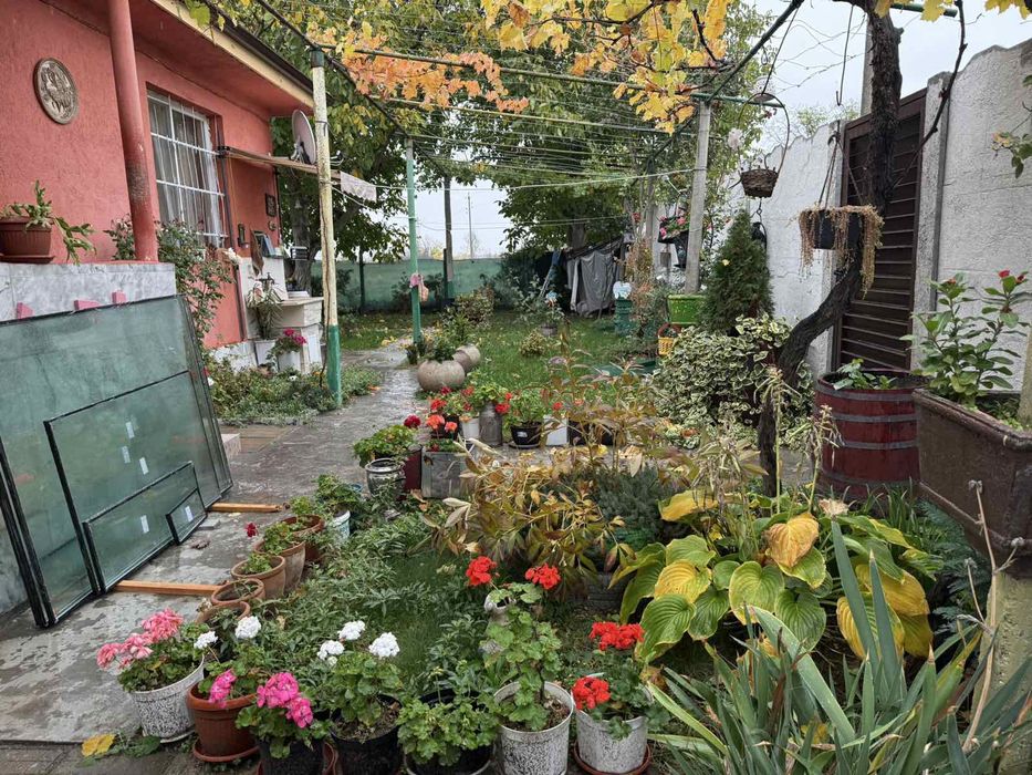 Продавам къща в село Бегово на 40 км от