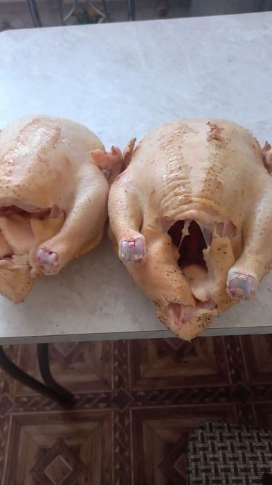 Продам мясо бройлеров