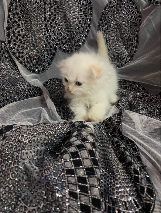 Подарок На Новый Год !Yangi yilga ajoyib sovga