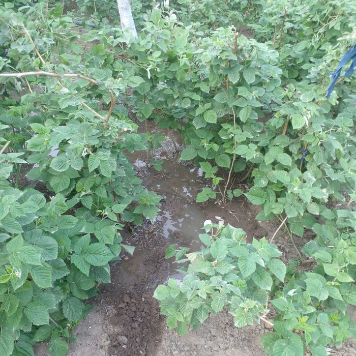 Продам или обменяю на квартиру