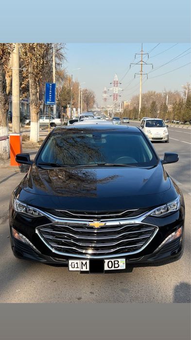 malibu 2 чёрного цвета