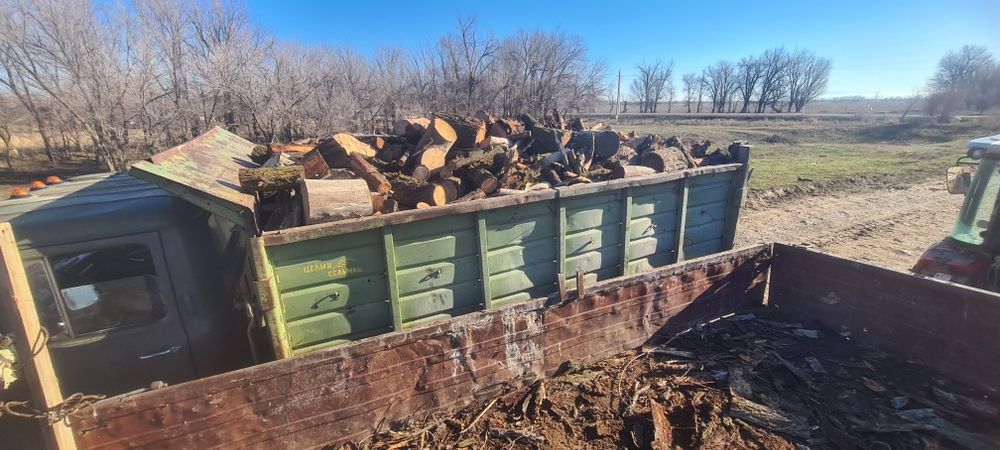 Дрова карагач сухой