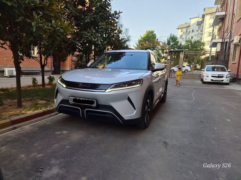 BYD yuan up 2024
