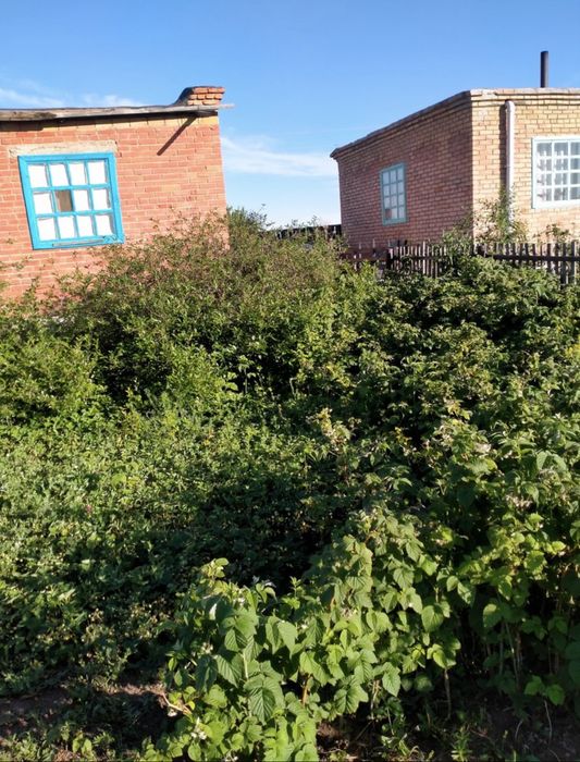 Продам дачу на Вавилова