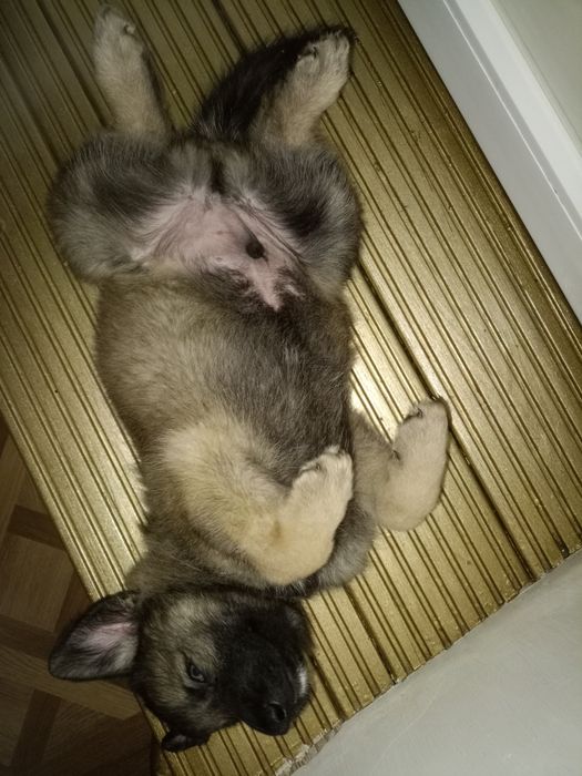 Мальчик красавчик