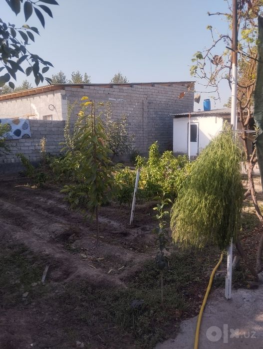 Arzon hovli 6 sotix