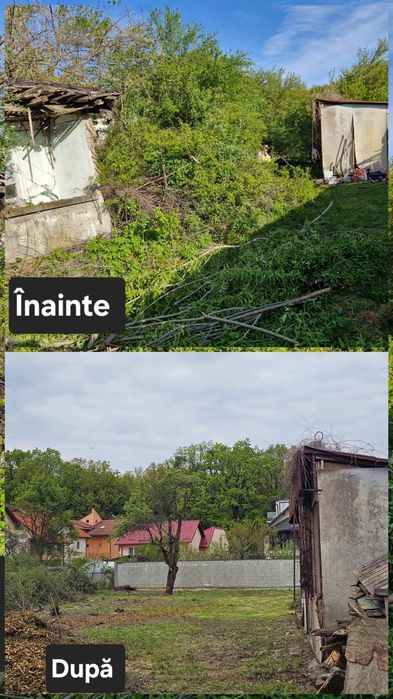 Întreținere curți și grădini