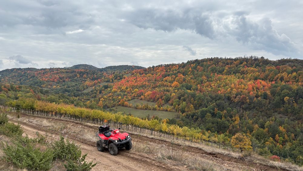 Vand Atv tgb 425 acte franta sau schimb cu cross 2000€
