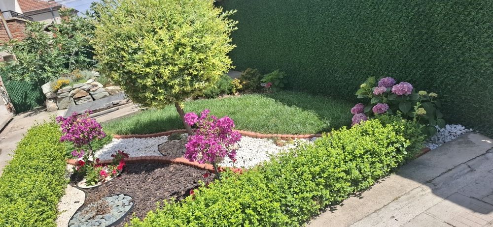 Озеленяване и декорация Тревен чим