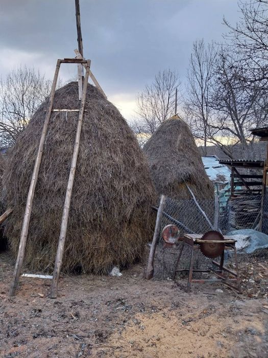 Fân de vânzare!! PRODUCȚIE 2025