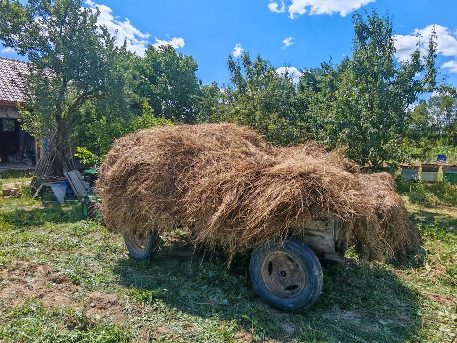 Donez fan, nu asigur transport