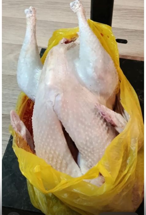 Продаю мясо птицы и кроликов