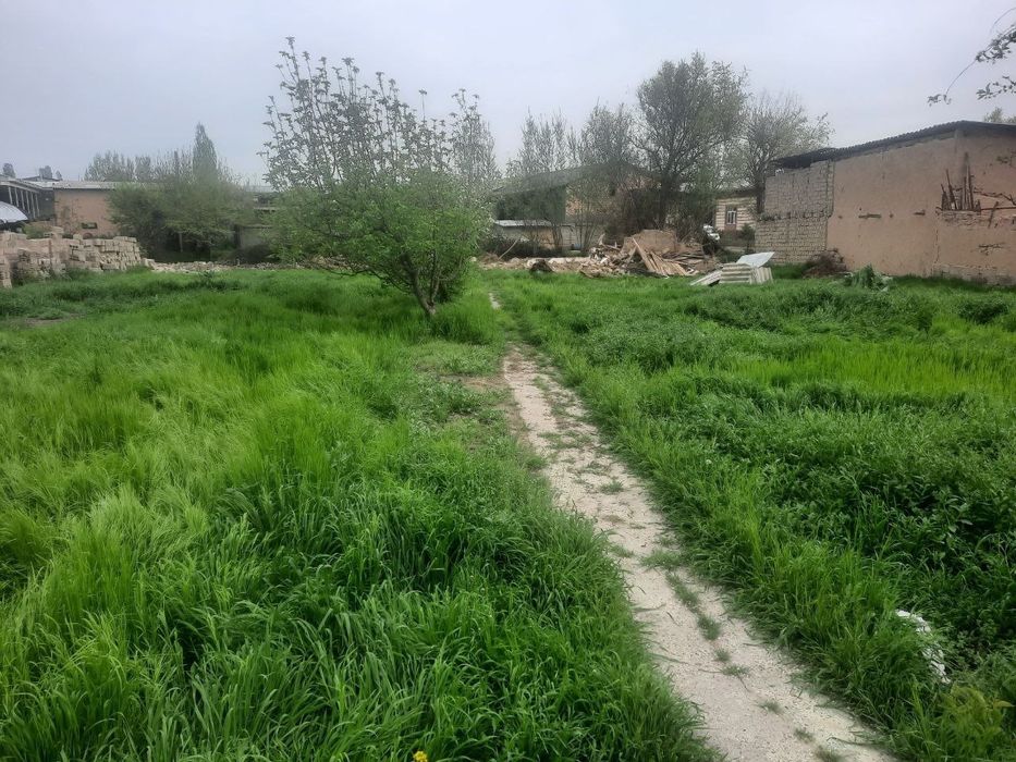 Срочно ер сотилади 8 соток