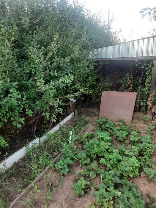 Продам дачу на федоровском водохранилище