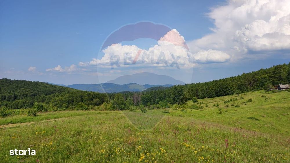 Teren 130000 mp extravilan Munteni - Bulz, Negreni