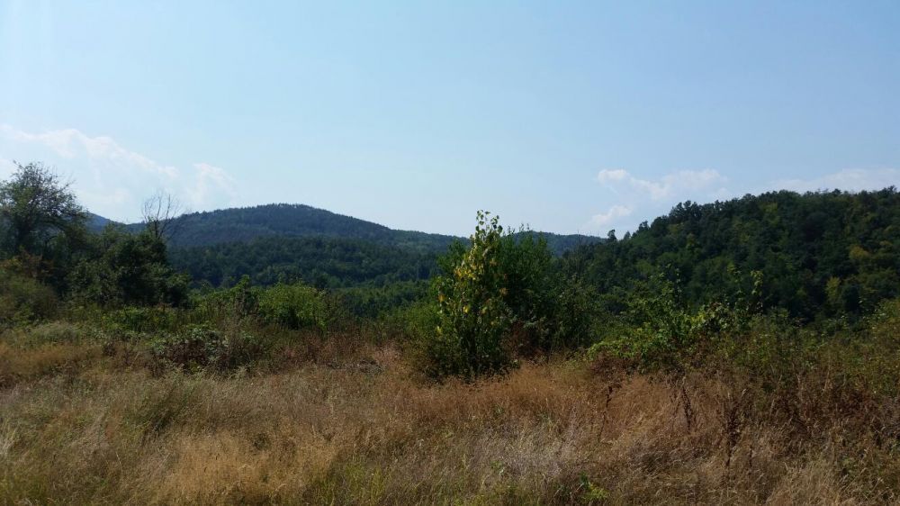 Продава се Къща в с. Горни Върпища, Област Габрово - 60 кв.м за 298 €/кв.м - Снимка #3