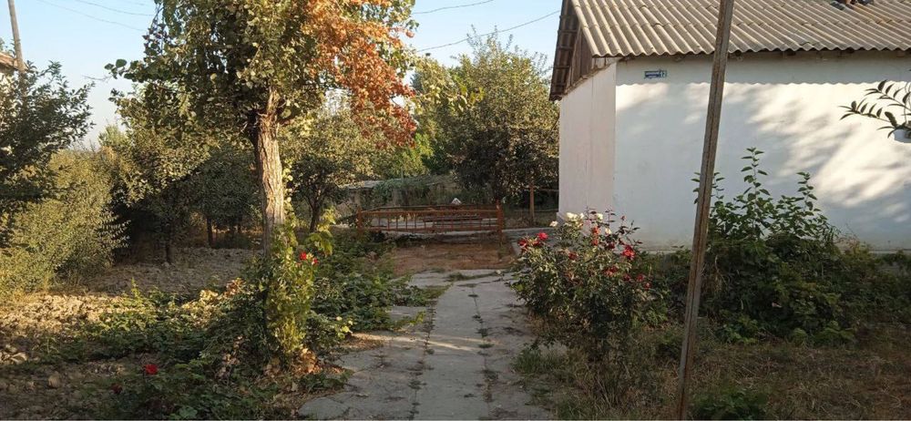 hovli sotiladi surochna chinoz tumani Sobir rahimovda