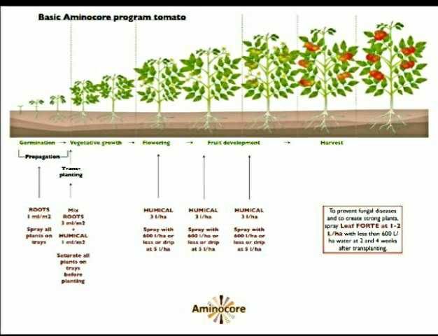 Продаю  Стимуляторы роста растений