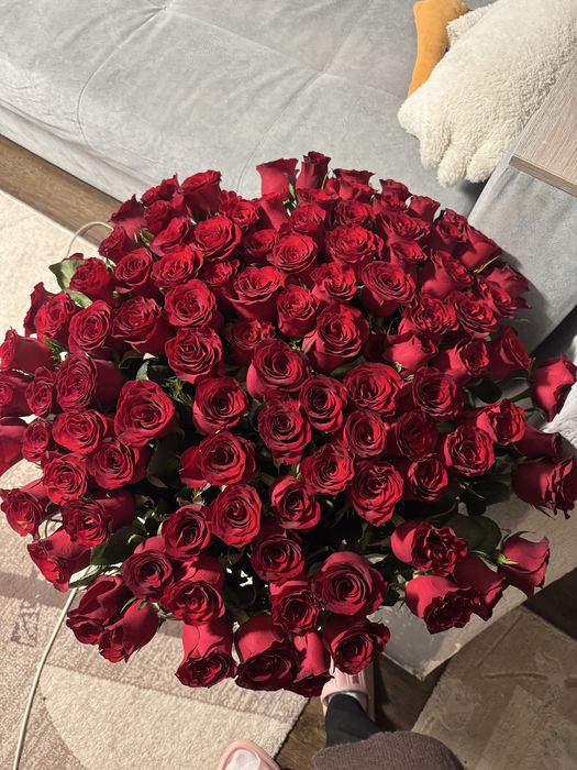 101 Роза. Свежые