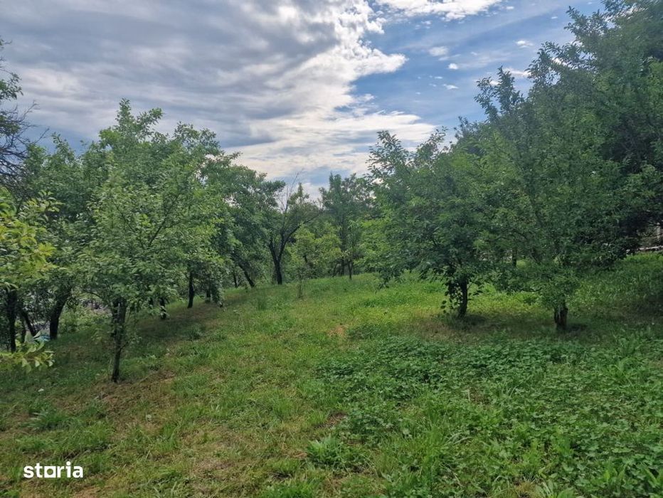 Teren intravilan 1400 mp - Albota!