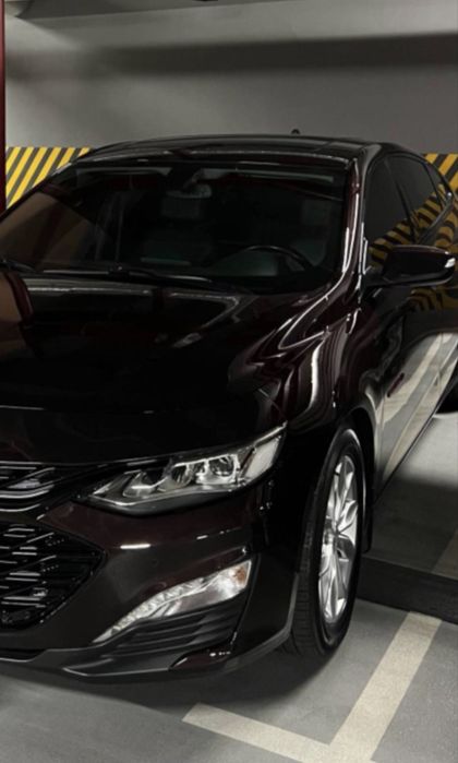 Malibu Premier 2021 темно бордовый