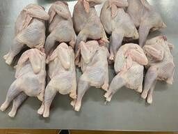 Продается домашние гуси, утки