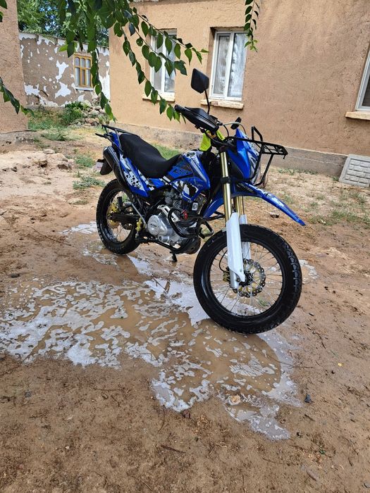 Jelmaia m19+ модельі