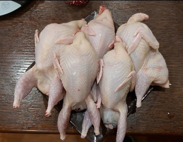 Продам перепела домашние
