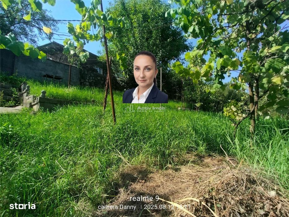 Resita Casa Zona Gradina Zoologica