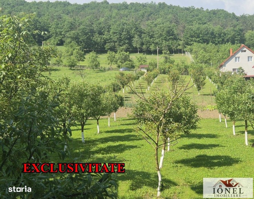 Teren intravilan 2292 mp in Vintu de Jos
