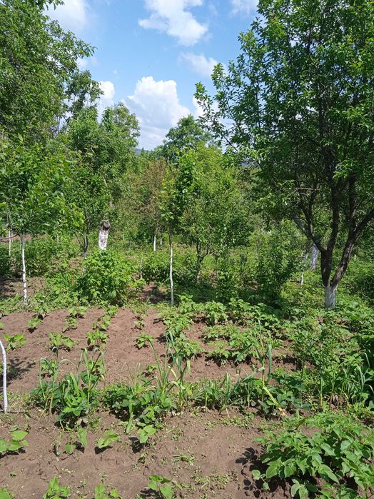 Продава се Къща в Антоново - 90 кв.м за 397 €/кв.м - Снимка #8