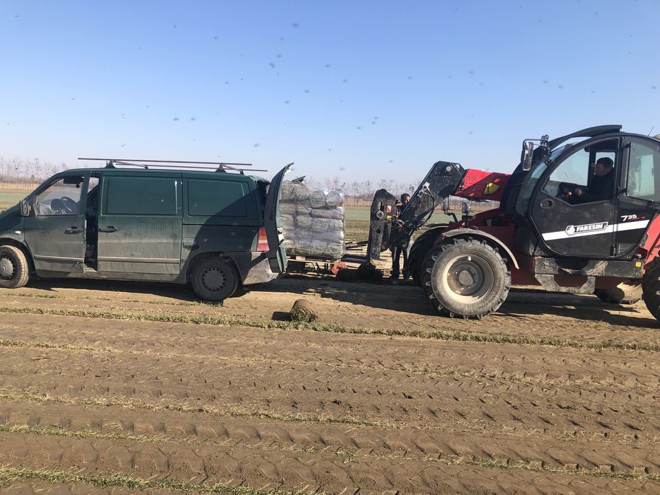 Gazon Rulou Premium Calitate Extra