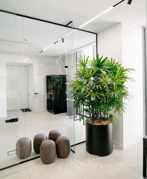 Пересадка комнатных растении