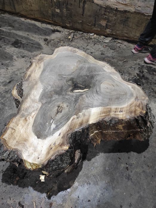 Rondele de nuc și plop