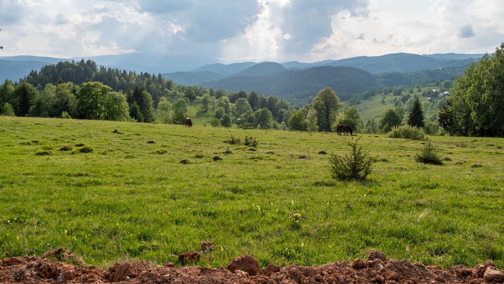 Vand teren cabana in Apuseni