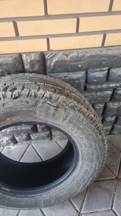 Шины летние Bridgestone