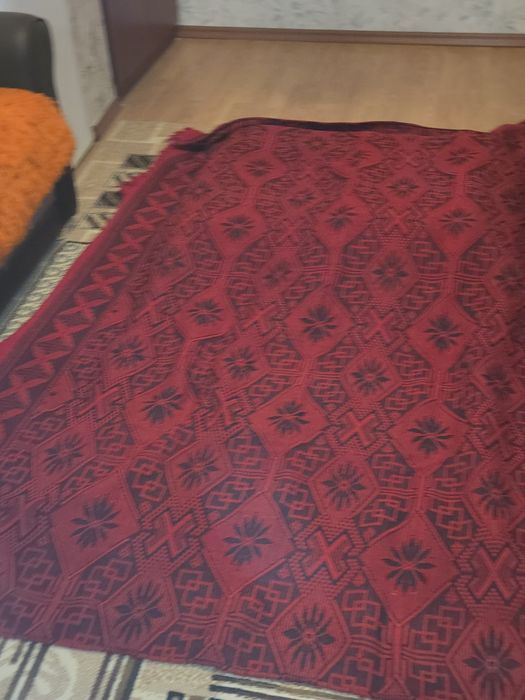 Вълнен бял китеник