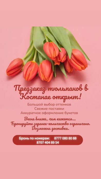 Тюльпаны в наличии